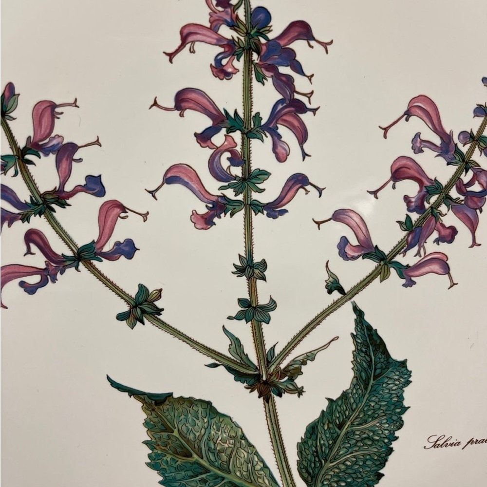 VILLEROY & BOCH Botanica 12" Cake Plate / Tray -Salvia Pratensis Meadow Sage - Picture 4 of 9